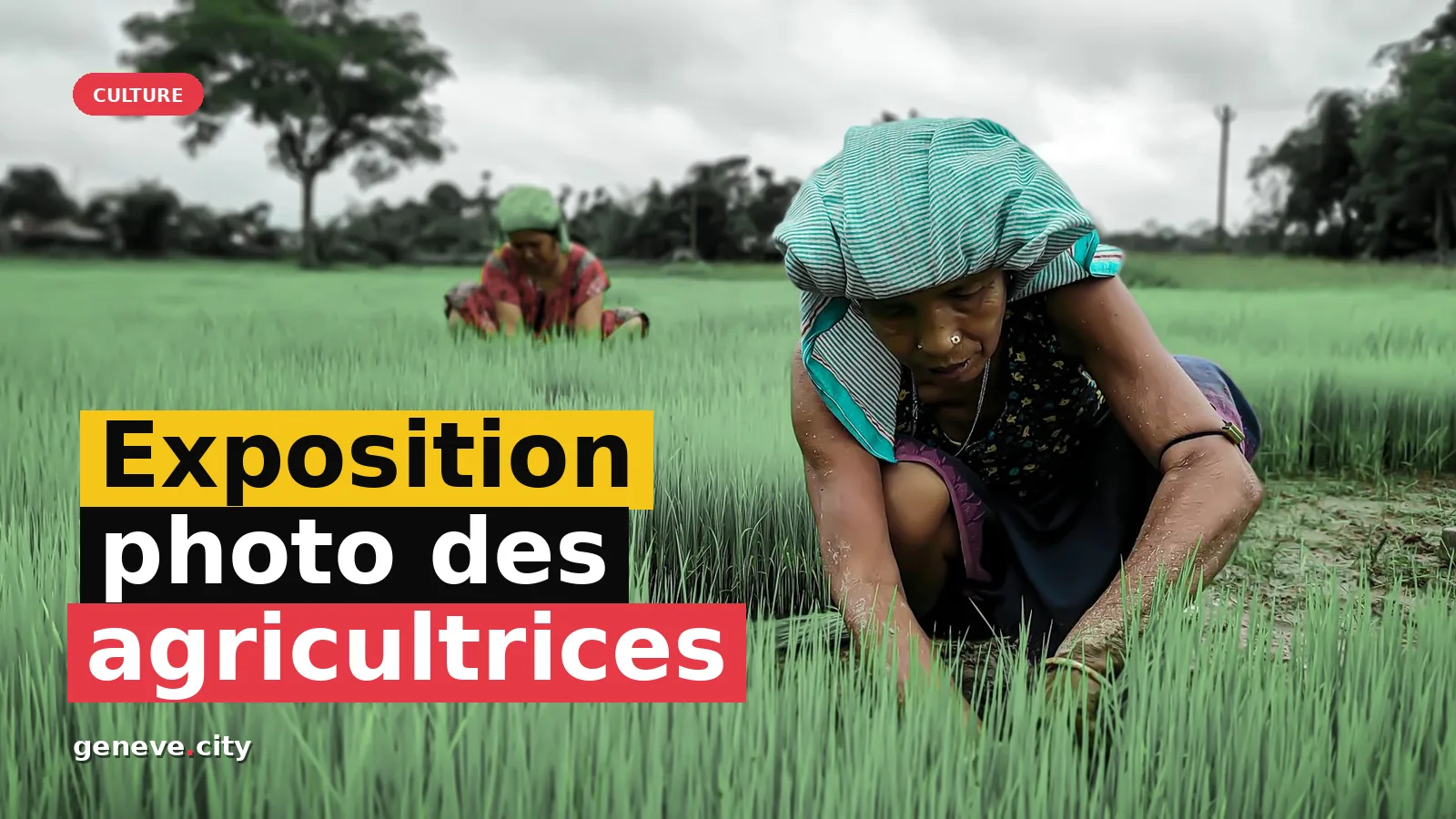 Exposition photo des agricultrices à Genève : une célébration locale